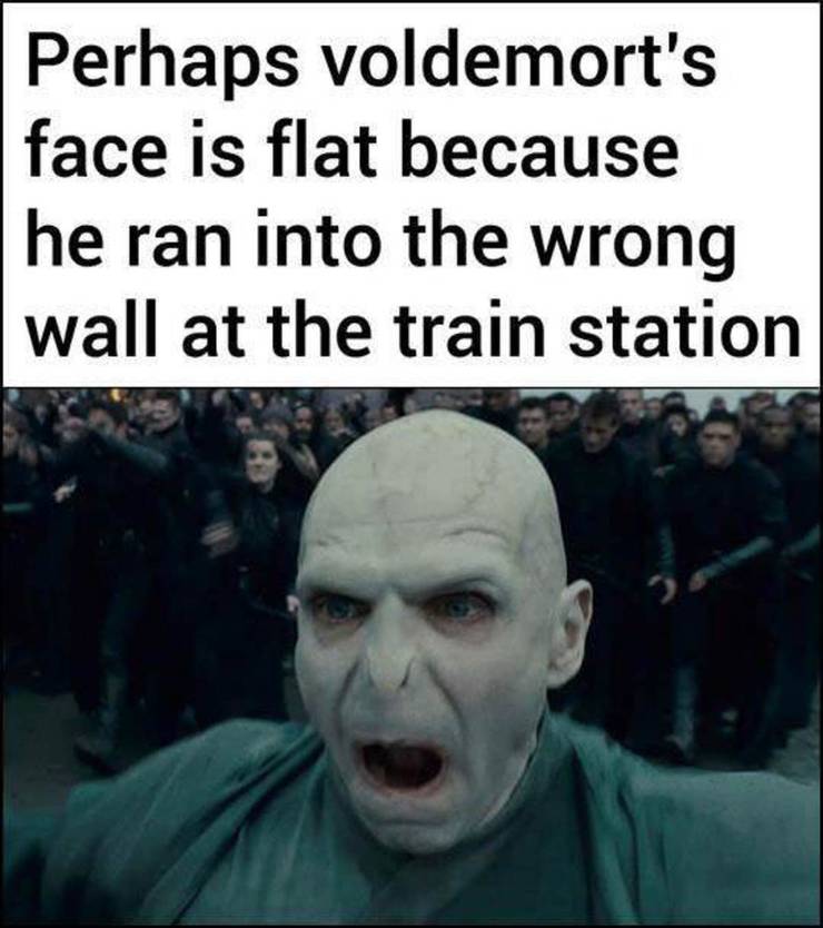 Harry Potter 10 Hilarious Voldemort Memes Only True Fans Will Understand Harry Potter 10 Hilarious Voldemort Memes Only True Fans Will Understand